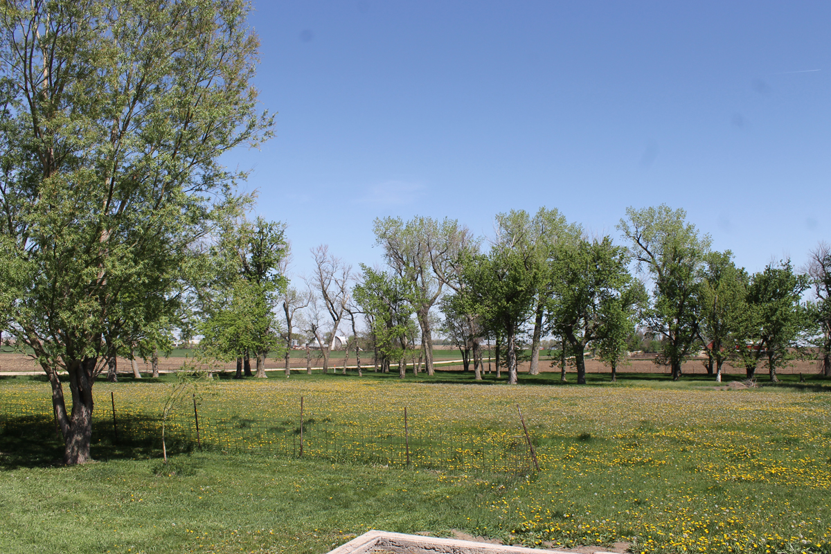 IMG_9180.jpg